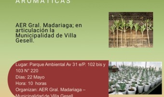 TALLER DE PLANTAS AROMTICAS ABIERTO A LA COMUNIDAD